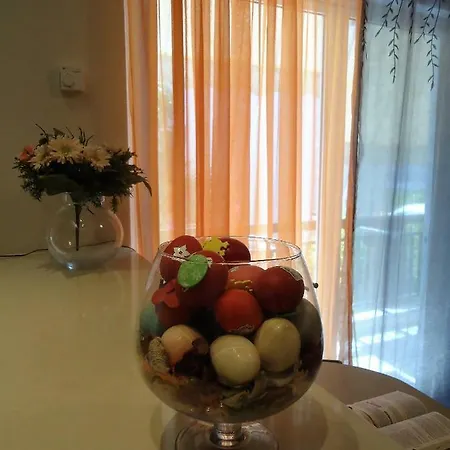 Clean & Tidy *